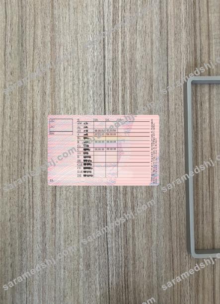 Greece driving license version 2 photolook back